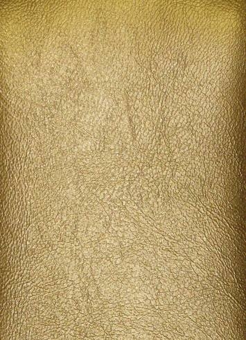 Marine Outdoor Vinyl Gold