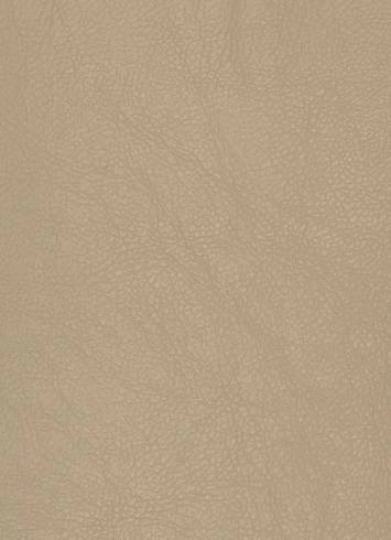 Marine Outdoor Vinyl Ivory