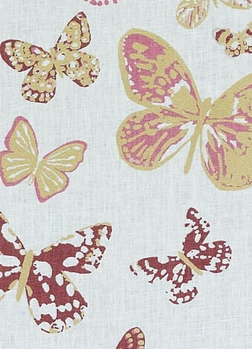 Aquila Rose - LE42547-17