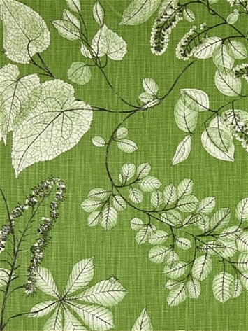 Arboretum Meadow Botanical P Kaufmann Fabric 