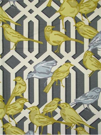 Aviary Trellis Graphite