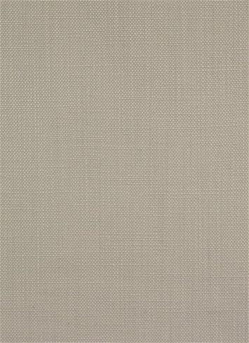 Brubeck Silver