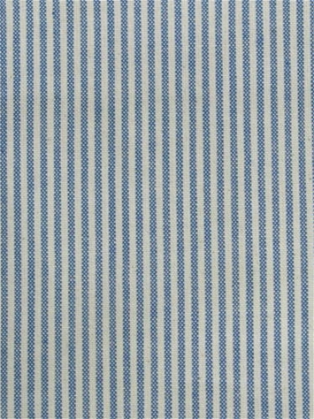 Baldwin Bluebird P. Kaufmann Ticking Fabric 