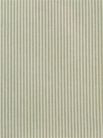 Baldwin Birch P. Kaufmann Ticking Fabric