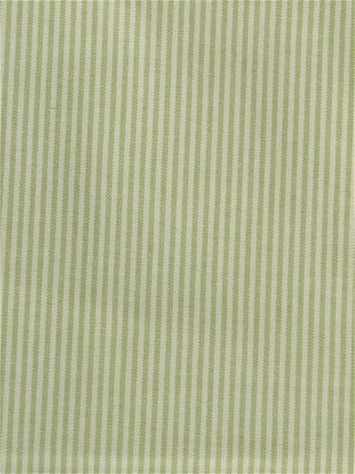 Baldwin Celery P. Kaufmann Ticking Fabric