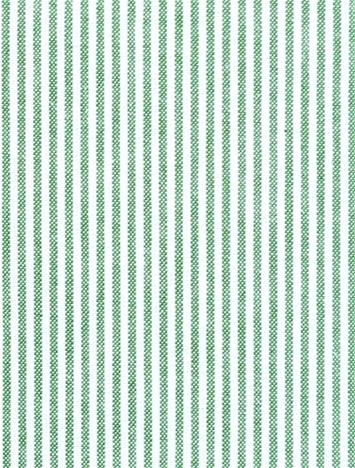 Baldwin Parrot Ticking Stripe