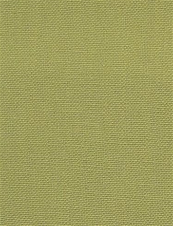 Barry Artichoke – Performance Canvas