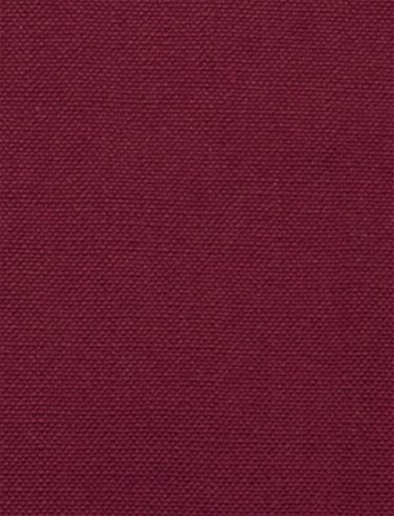 Barry Beet - Performance Canvas