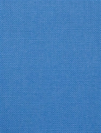 Barry Bluebird - Performance Canvas