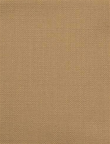 Barry Camel - Performance Canvas