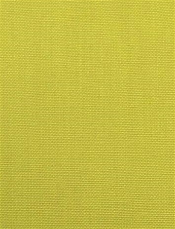 Barry Citrus - Performance Canvas