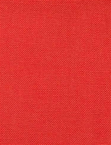 Barry Coral - Performance Canvas