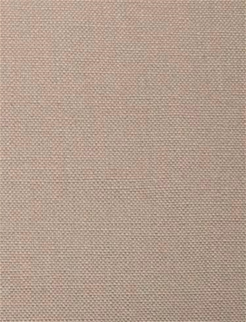 Barry Flagstone - Performance Canvas