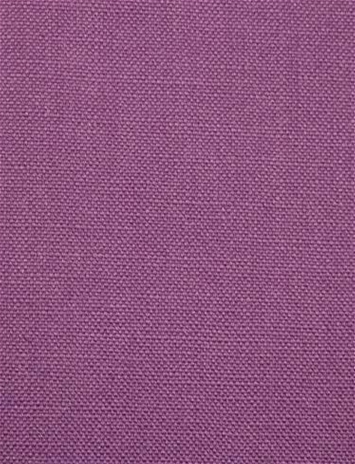 Barry Grape - Performance Canvas