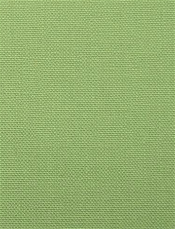 Barry Green Tea - Performance Canvas