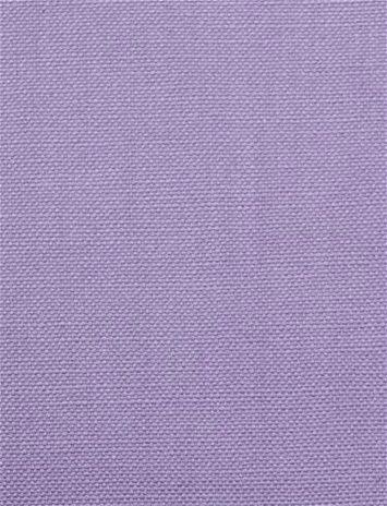 Barry Lavander - Performance Canvas