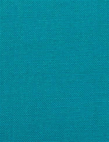 Barry Morrocan Blue - Performance Canvas