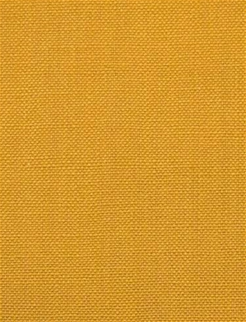 Barry Mustard - Performance Canvas