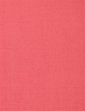 Barry Pink - Performance Canvas