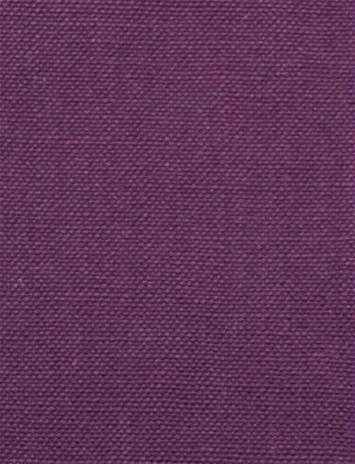 Barry Purple - Performance Canvas