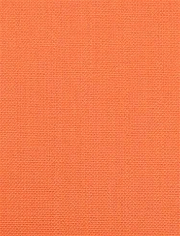 Barry Serandite - Performance Canvas