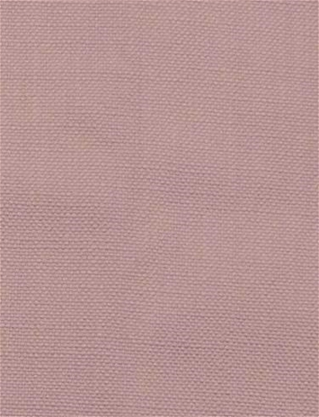 Barry Sweet Pea - Performance Canvas