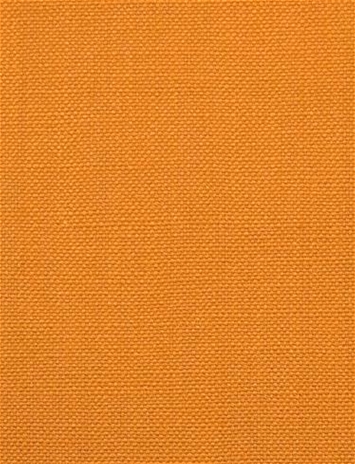 Barry Turmeric - Performance Canvas