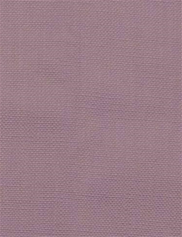 Barry Wisteria - Performance Canvas
