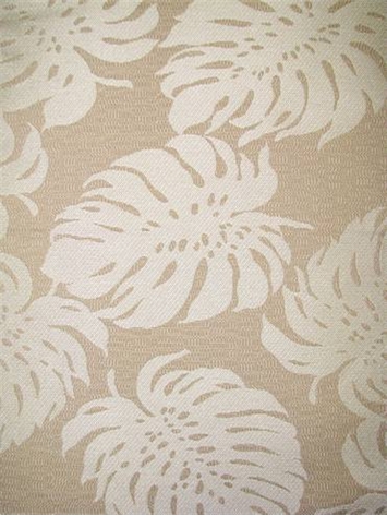 SD Bay Palm 117 Shell