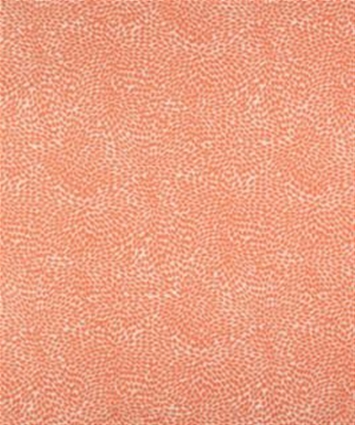 Berlin 11513 M10279 Coral