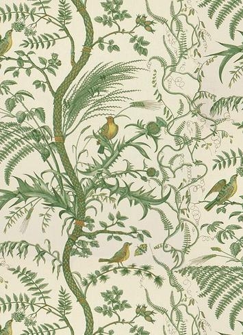 Brunschwig & Fils Bird & Thistle Green