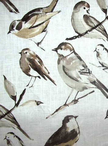 Birdwatcher Charcoal