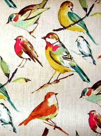 Birdwatcher Meadow