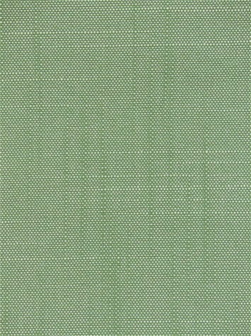 Blarney 289 Ivy Covington Fabric
