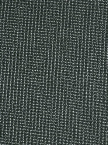 Bliss Onyx 48135-0004 Sunbrella Fabric