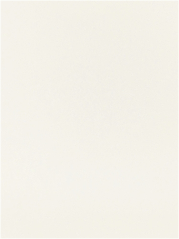 Boone 11101 Faux Leather Barrow Fabric