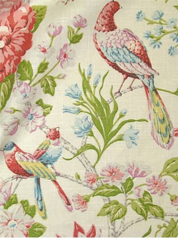 Timeless Garden Sherbert