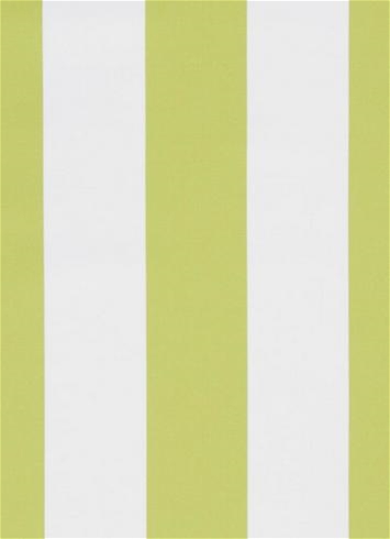 Cabana Stripe Lime Al Fresco Fabric