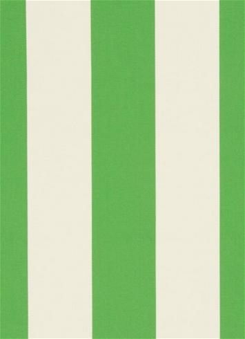 Cabana Stripe Macaw Al Fresco Fabric