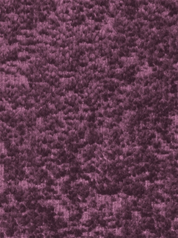 Casablanca 11807 Barrow Chenille