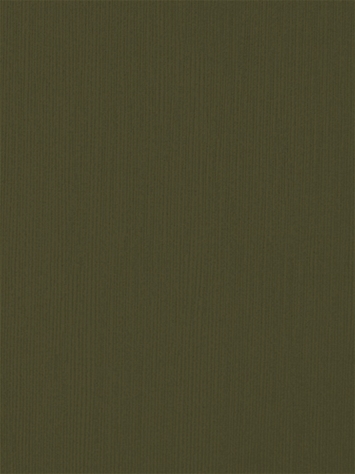 Ciabatta 12105 Barrow Fabric