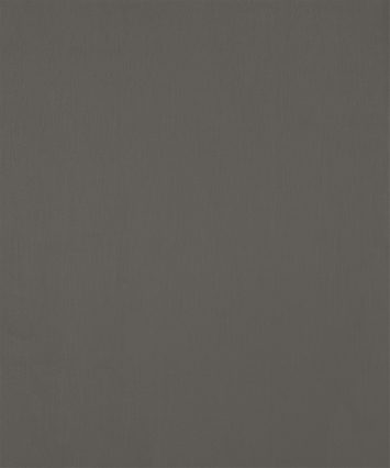 Ciabatta 12305 Barrow Fabric