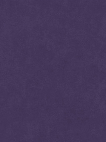 Counterpoint 21805 Barrow Fabric