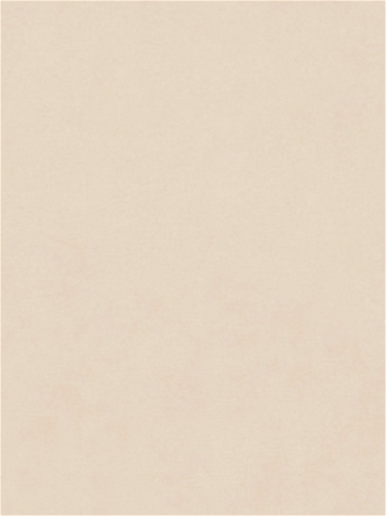 Counterpoint 31002 Barrow Fabric