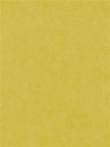 Counterpoint 31205 Barrow Fabric