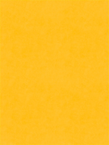 Counterpoint 41201 Barrow Fabric