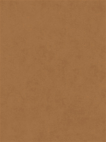 Counterpoint 41305 Barrow Fabric
