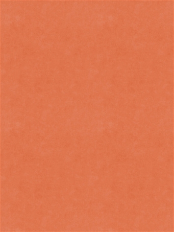 Counterpoint 41501 Barrow Fabric