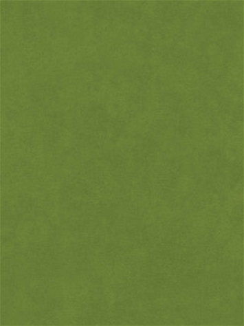 Counterpoint 92103 Barrow Fabric