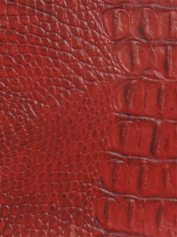 Crock Aztec Mitchell Vinyl